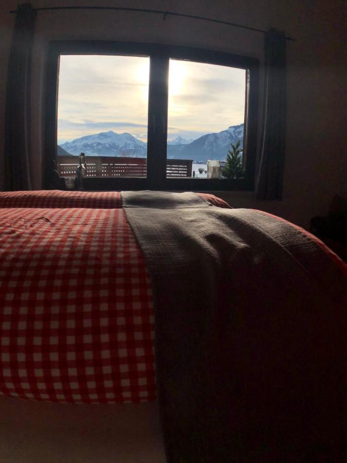M'S Wood Appartement Maishofen Dış mekan fotoğraf