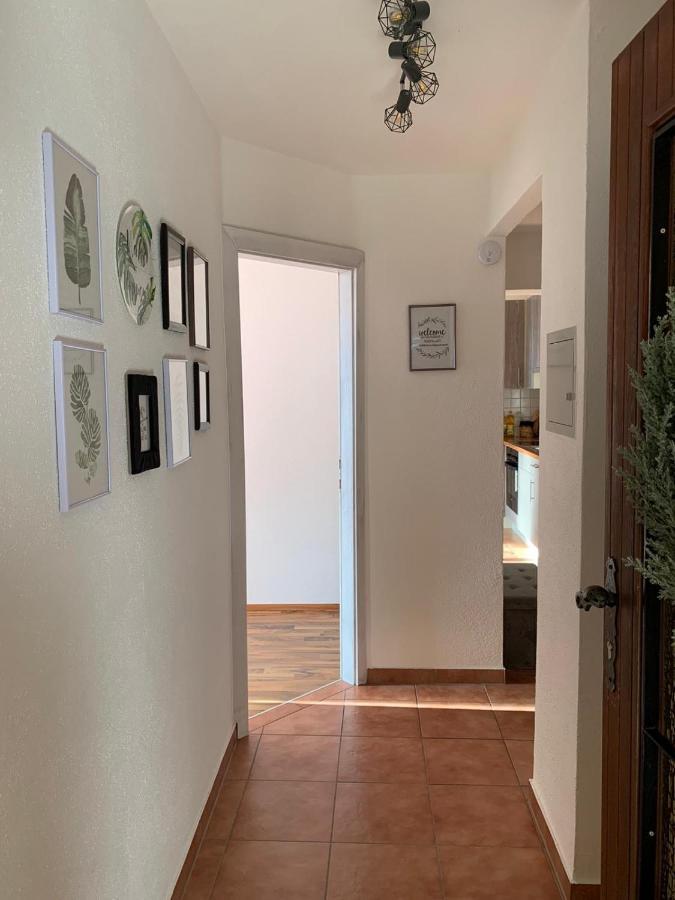 M'S Wood Appartement Maishofen Dış mekan fotoğraf