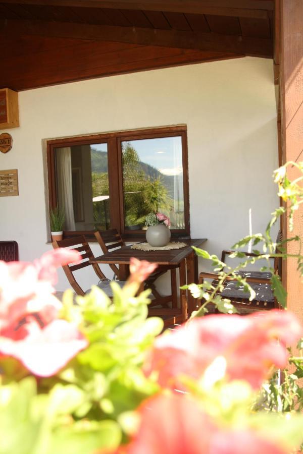 M'S Wood Appartement Maishofen Dış mekan fotoğraf
