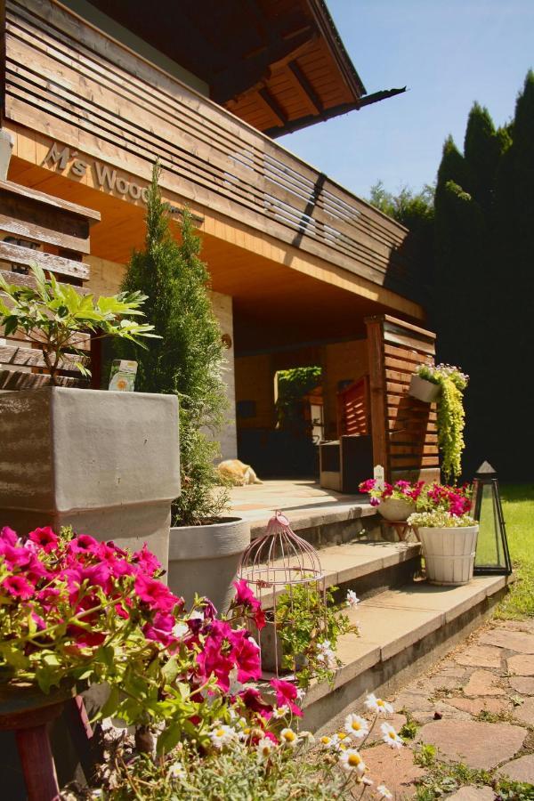 M'S Wood Appartement Maishofen Dış mekan fotoğraf
